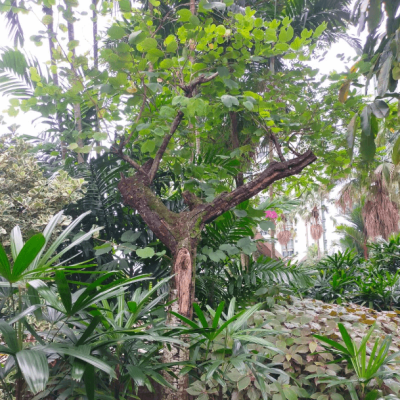 gallery 2(7)