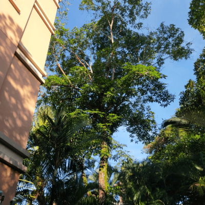 gallery 4(7)
